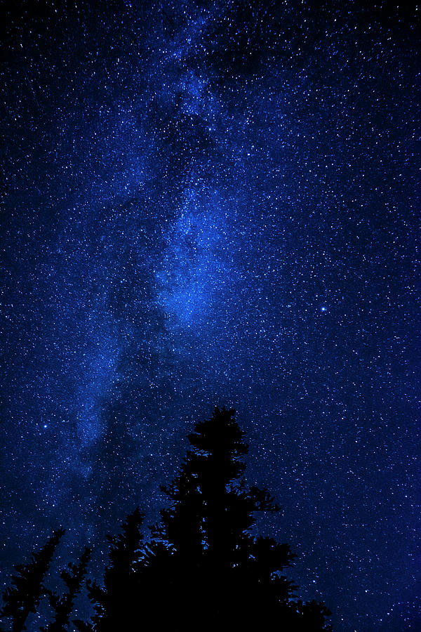 Milky Way and Trees 2 Photograph by Pelo Blanco Photo - Fine Art America