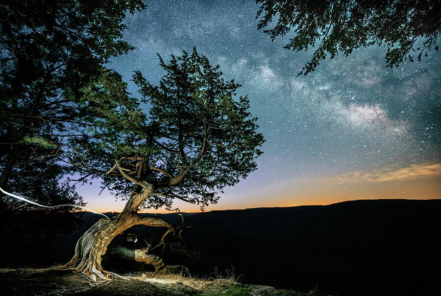 Nature Photograph - Milky Way and Twisted Cedar, Upper Buffalo Wilderness, Arkansas by Jeff Rose