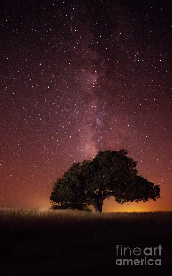 Milky Way Photograph by Andrea Smith