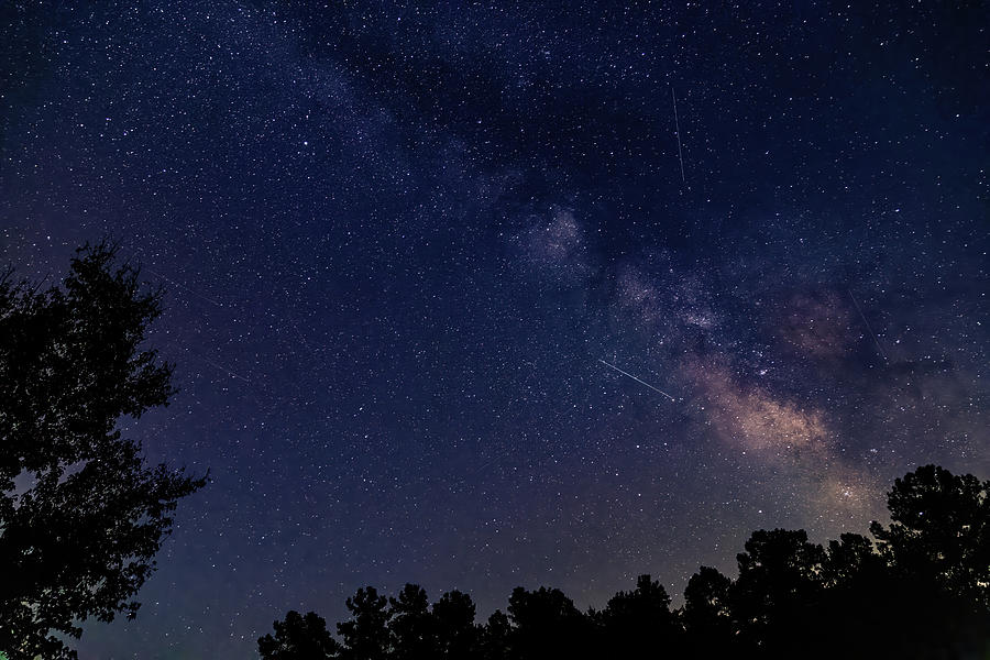 Milky Way at Congaree National Park Photograph by Charles Hite