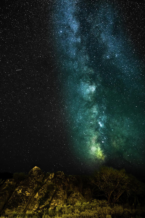 High Desert Milky Way  Photograph by Ron Long Ltd Photography