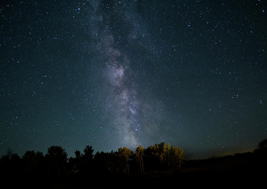 Milky Way August Photograph by Sandra Js