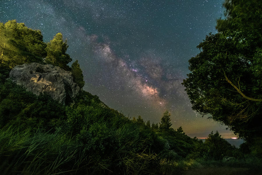 Milky Way Emerging through the Dense Vegetation Photograph by Alexios Ntounas