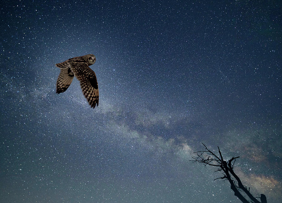 Milky Way Flight Photograph by Art Cole