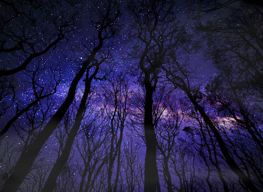 Milky Way Forest Mixed Media by Ally White