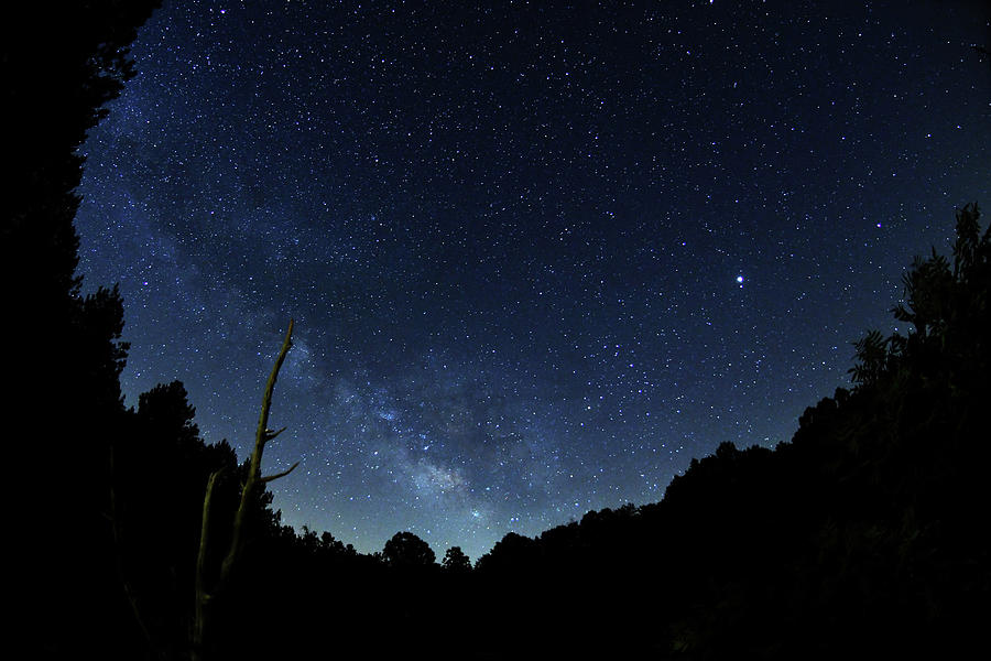 Milky Way Galaxy over the Uwharrie National Forest, North Carolina, Digital Art, Photograph, Print Photograph by Eric Abernethy