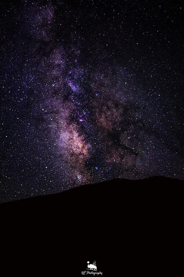 Milky Way in Great Basin National Park Photograph by Virginia Lucas ...