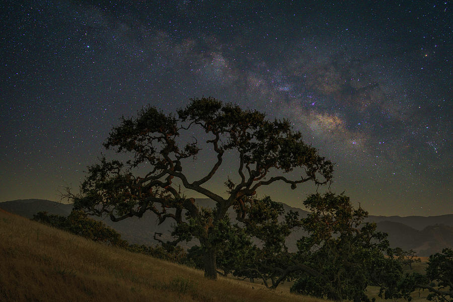 Milky Way in the Western Sky 4 Photograph by Lindsay Thomson