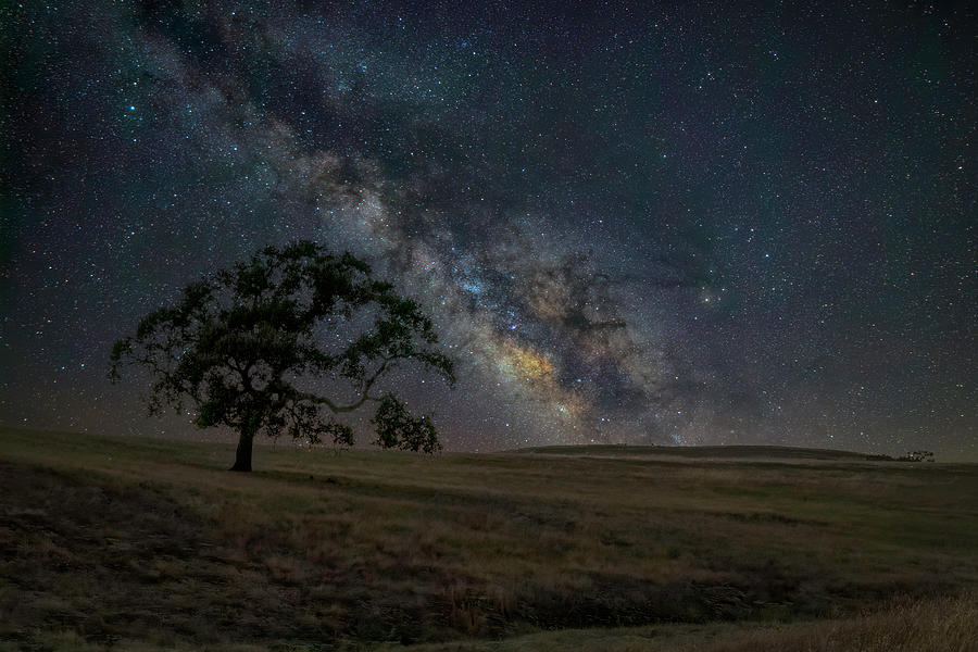 Milky Way in the Western Sky 5 Photograph by Lindsay Thomson