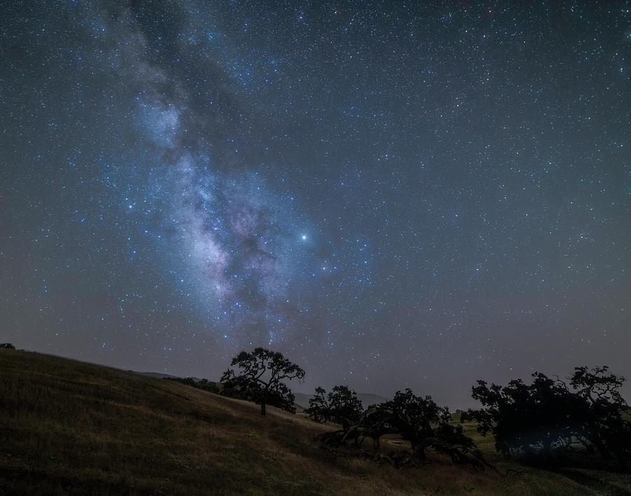 Milky Way in the Western Sky 2 Photograph by Lindsay Thomson