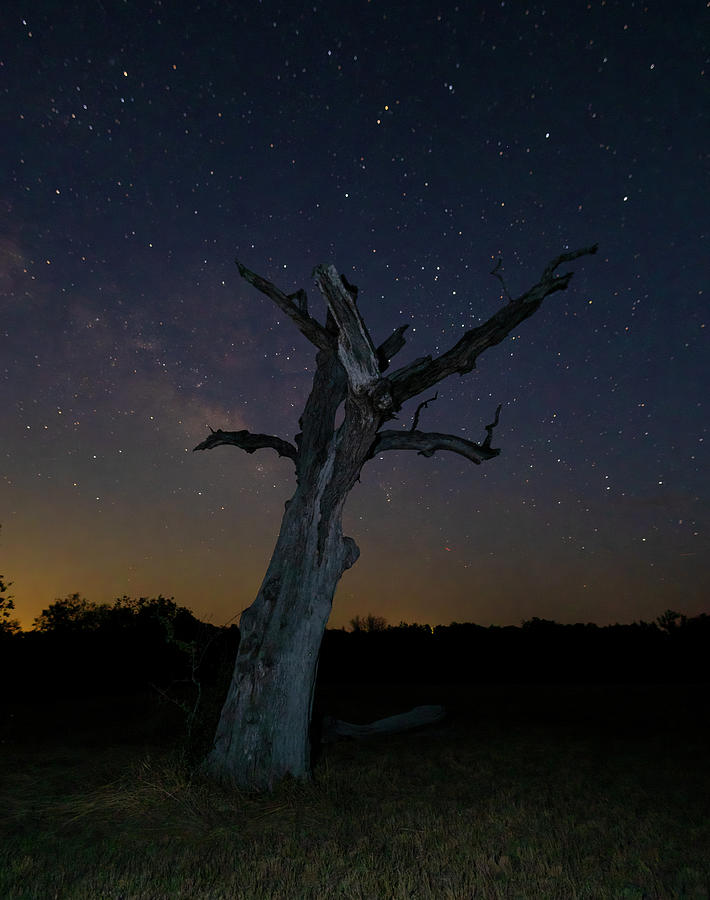 Milky Way near Star Texas 1 Photograph by Debby Richards
