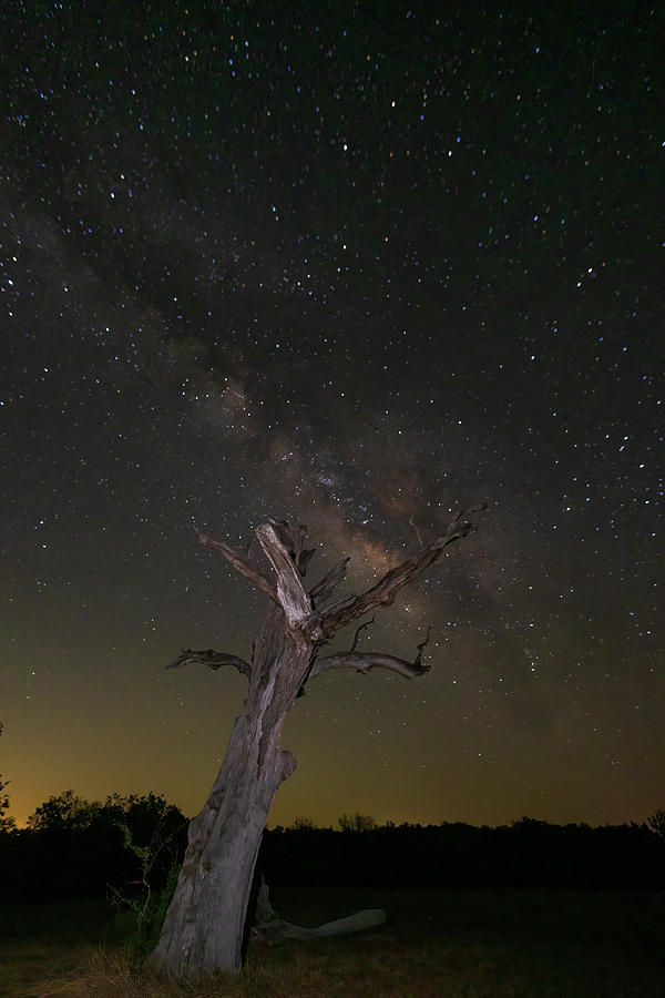 Milky Way near Star Texas 2 Photograph by Debby Richards