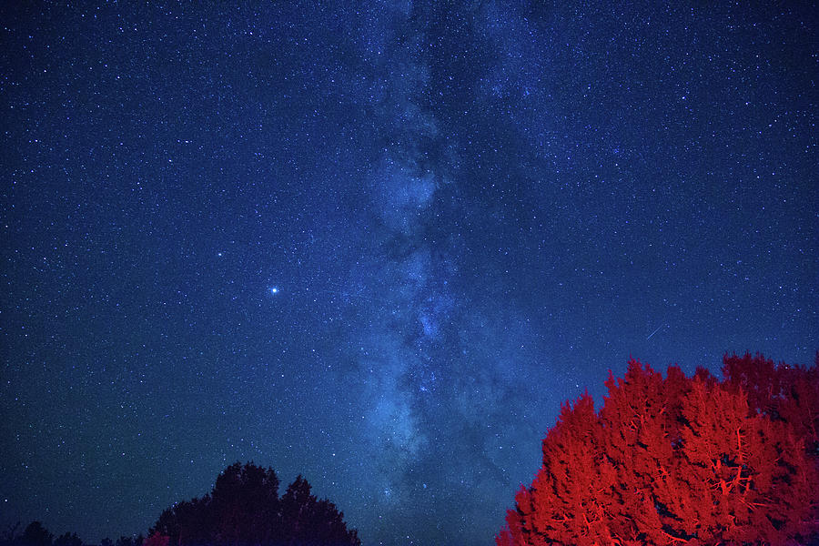 Milky way over Escalante Photograph by Kunal Mehra