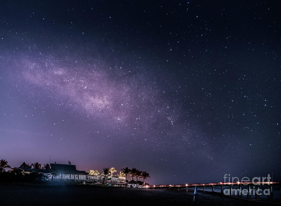 Beach Photograph - Milky Way Over Fins, Venice, Florida by Liesl Walsh