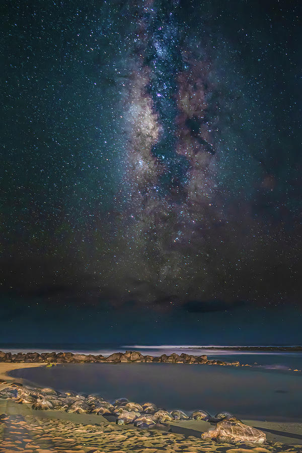 Milky Way over Green Sea Turtles Photograph by Alan Hart