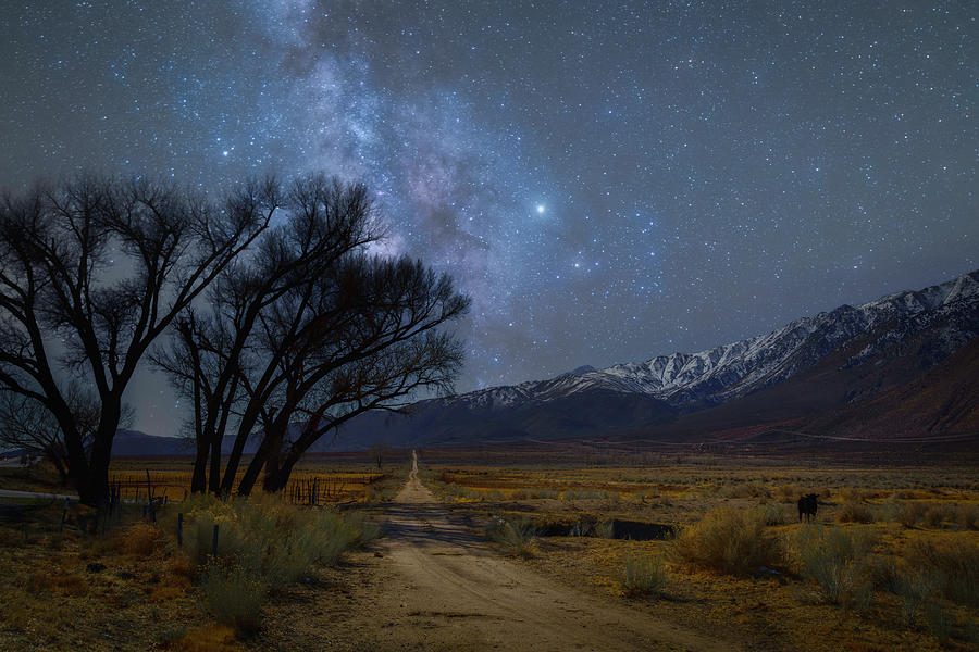 Milky Way Over Old Highway 23 Photograph by Lindsay Thomson