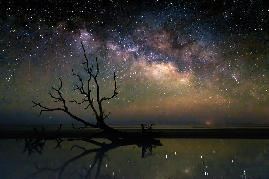 Milky Way Over Hunting Island - LIMITED EDITION Photograph by Brian Bishop