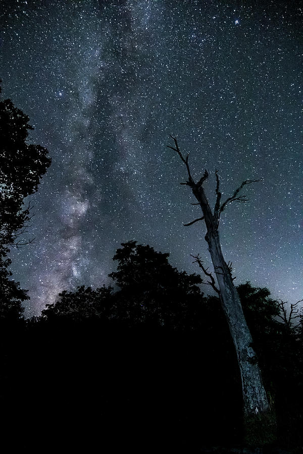 Milky Way over Jewel Hollow Photograph by Spike Silvernail