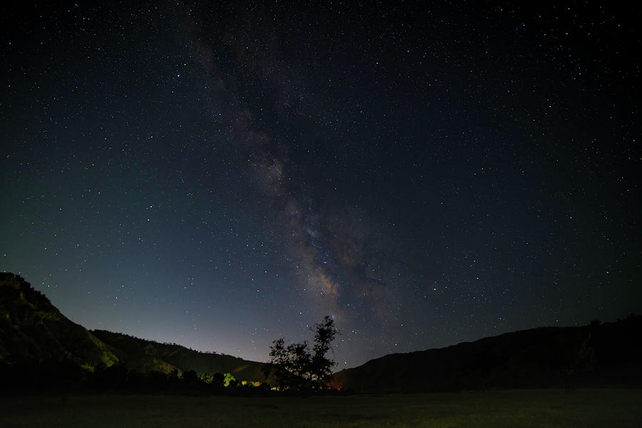 Milky Way Over Sycamore Tree Photograph by Lindsay Thomson