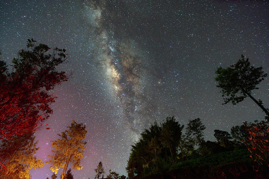 Milky Way Over Tea Estate In Sri Lanka Photograph by Thilina Kaluthotag ...