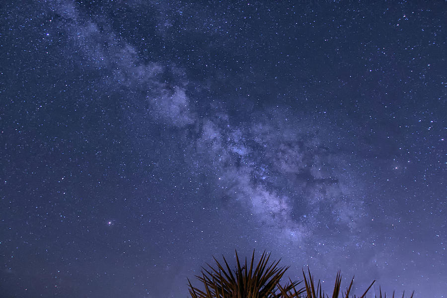 Milky Way Over the Desert Photograph by Lisa Chorny