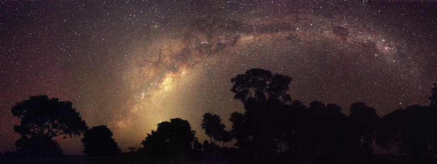 Milky Way Over The Pantanal Photograph