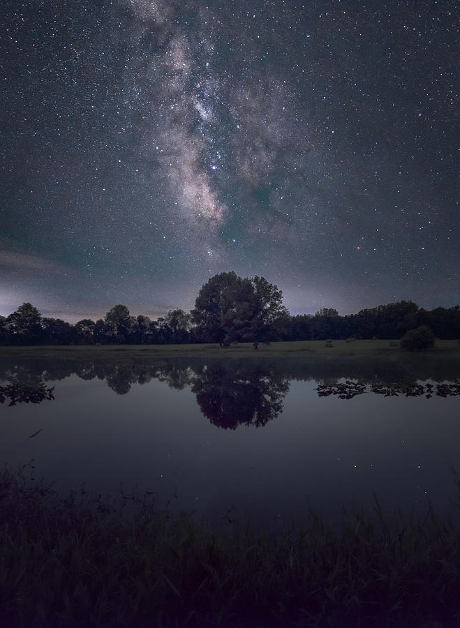 Milky Way over the Pond Photograph by Grant Twiss