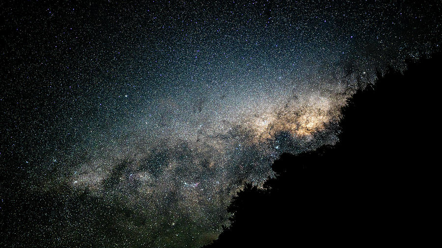 Milky Way Over the Tree Photograph by Henry Han - Fine Art America