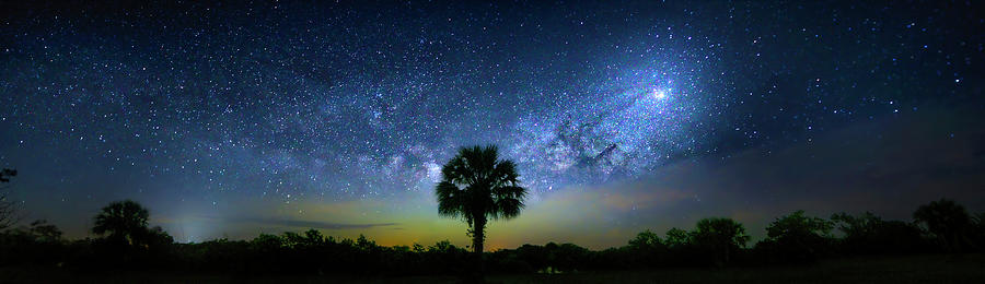 Milky Way Rising Photograph by Mark Andrew Thomas