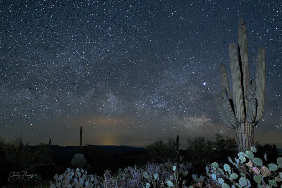 Milky Way Saguaro Photograph by Shelly Thompson - Fine Art America