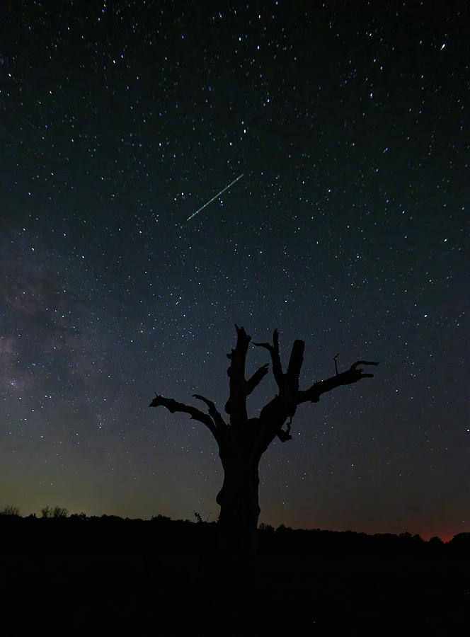 Milky Way Silhouette near Star, Texas, Photograph by Debby Richards