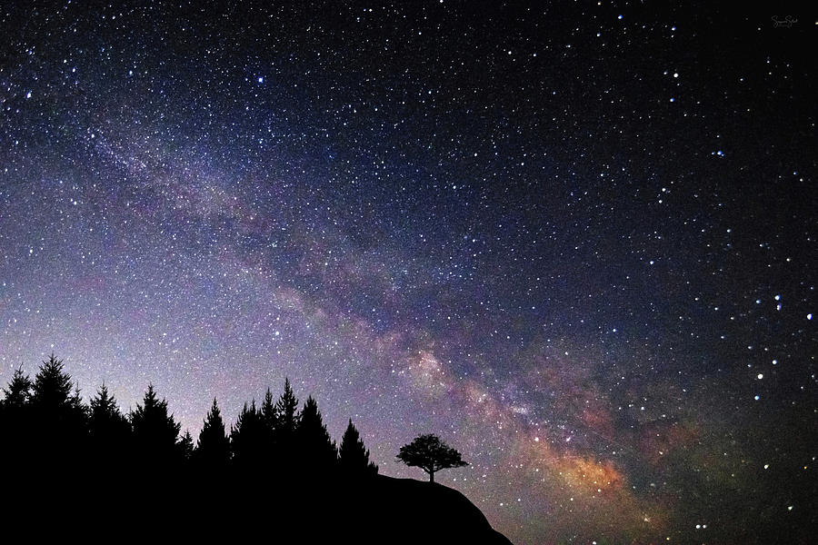 Milky Way Silhouette Photograph by Suzanne Stout