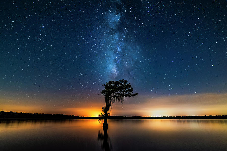 Milky Way Swamp Photograph by Andy Crawford