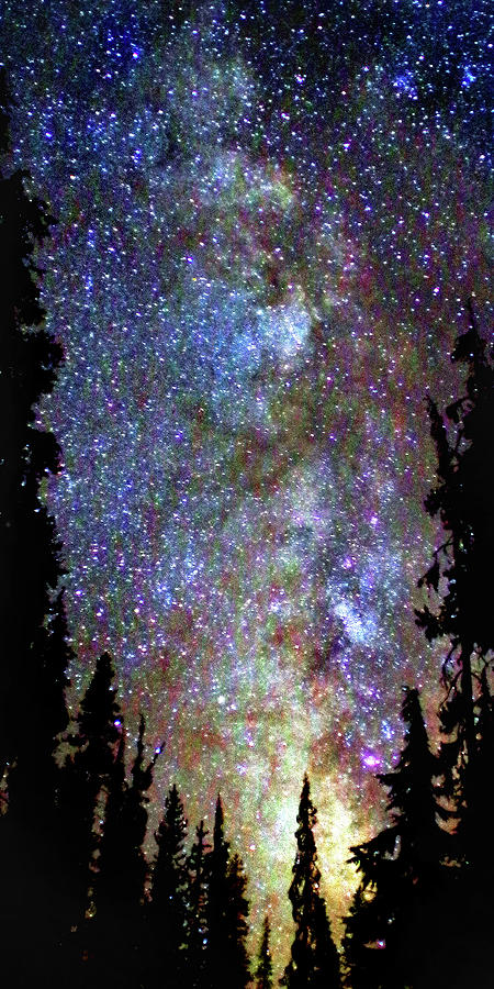Milky Way, Tall Vista Photograph by Douglas Taylor