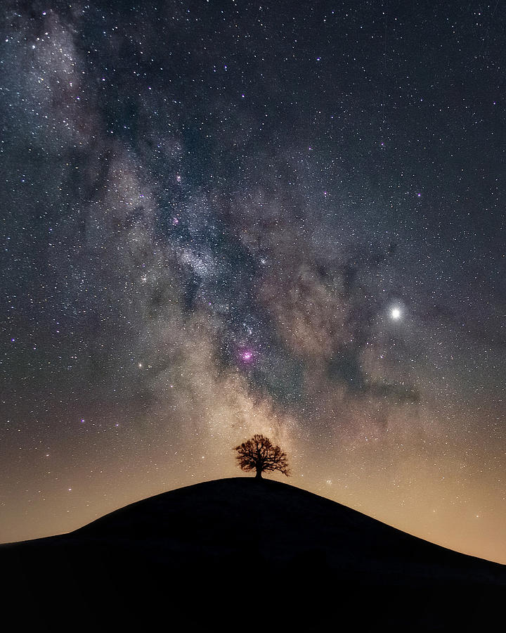Milky Way Tree Hill Photograph by Photography by KO