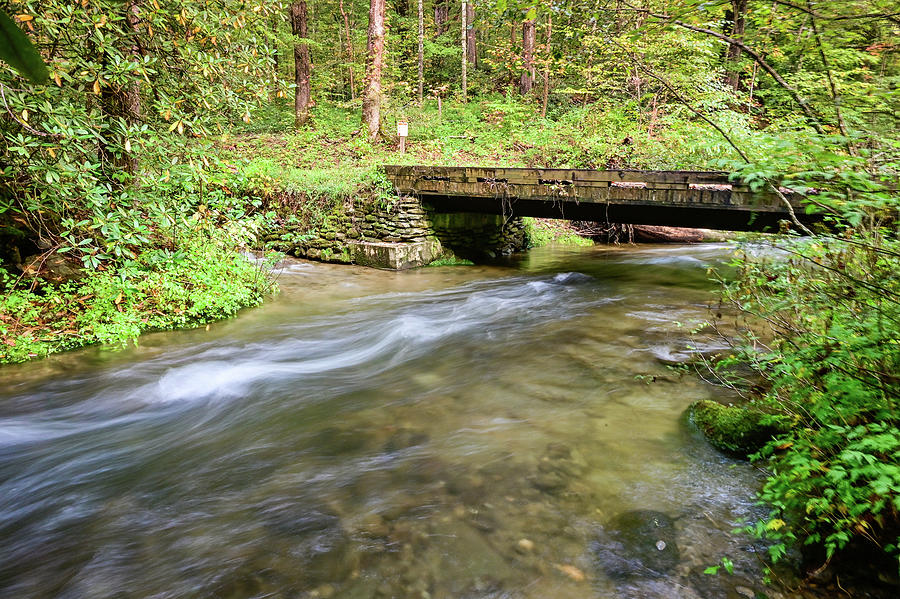 Mill Creek and country bridge Photograph by Ed Stokes