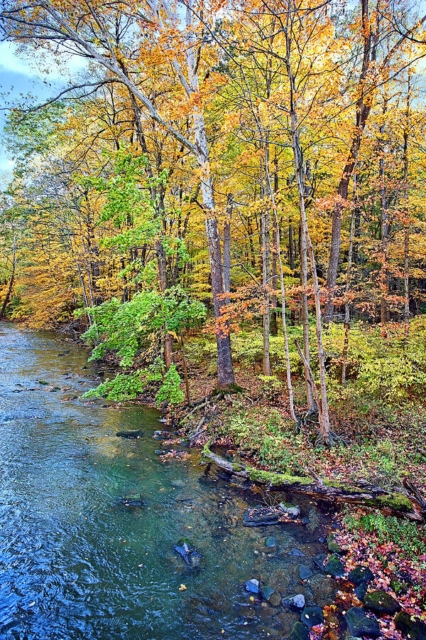 Mill Creek Park Photograph by Marcia Colelli Pixels