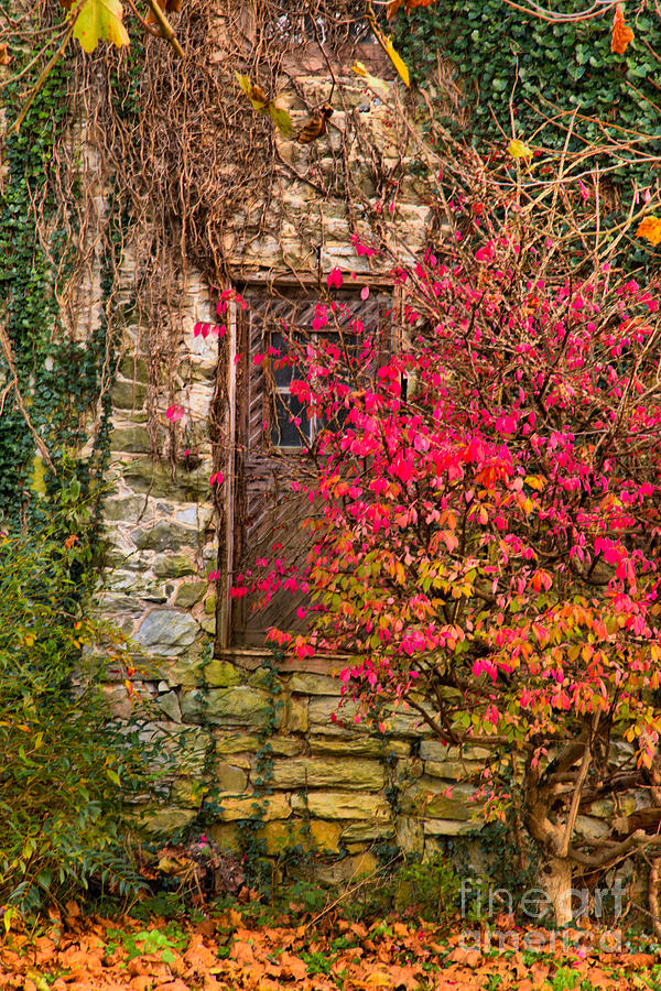 Fall Photograph - Mill Door Decorations by Adam Jewell