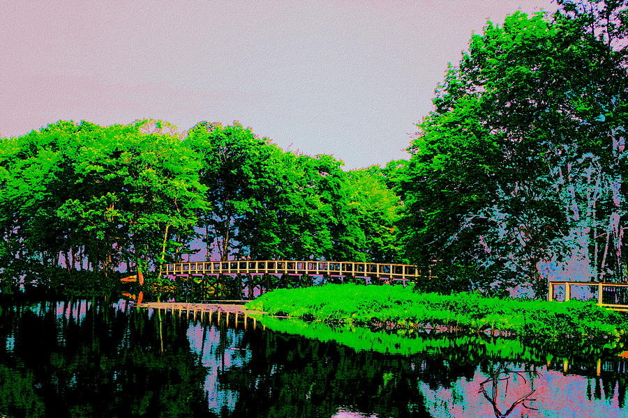 Mill Pond Bridge Digital Art by Cliff Wilson