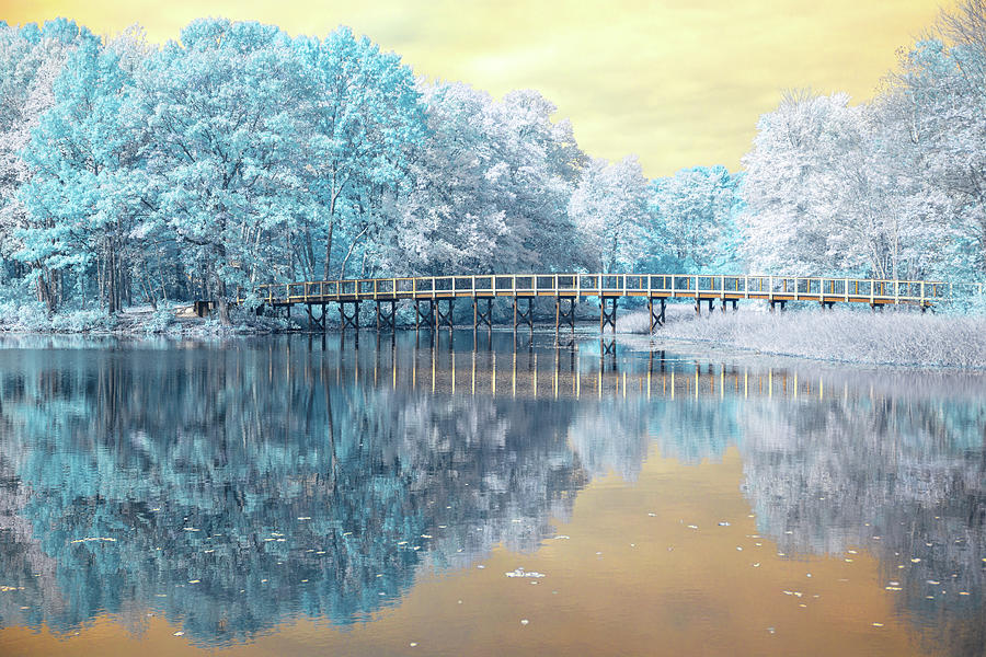 Mill Pond infrared Photograph by Brian Hale