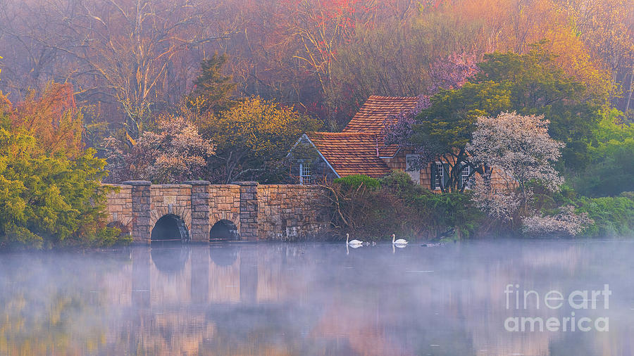 Mill Pond on a Misty Morning Photograph by Sean Mills