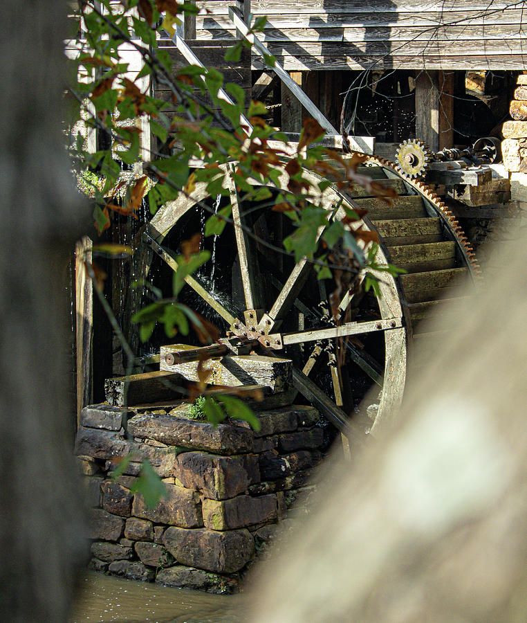 Mill Wheel through the Trees Photograph by Rick Nelson