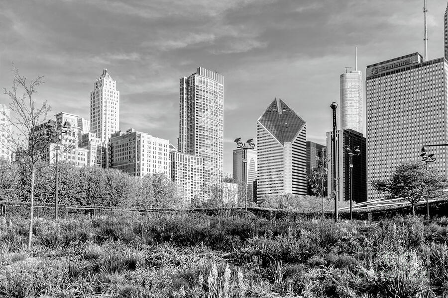 Millennium Garden Cityscape In Spring Grayscale Photograph by Jennifer White
