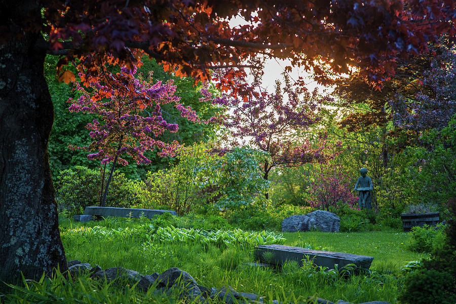 Millers Garden Sunset Photograph by White Mountain Images