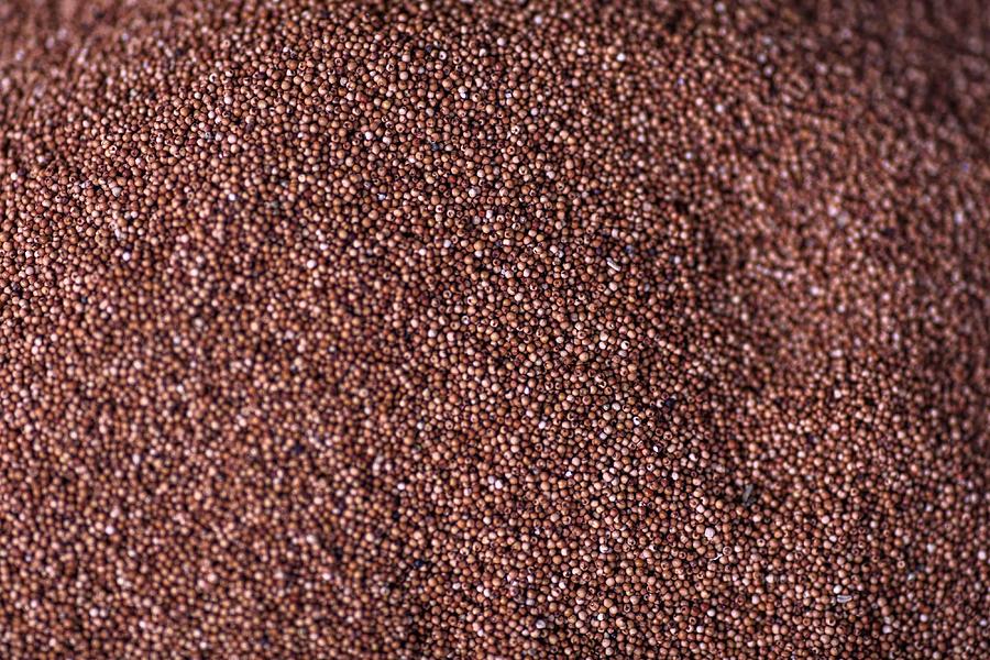 Millet is displayed at a wholesale market in India Photograph by Bloomberg Creative Photos