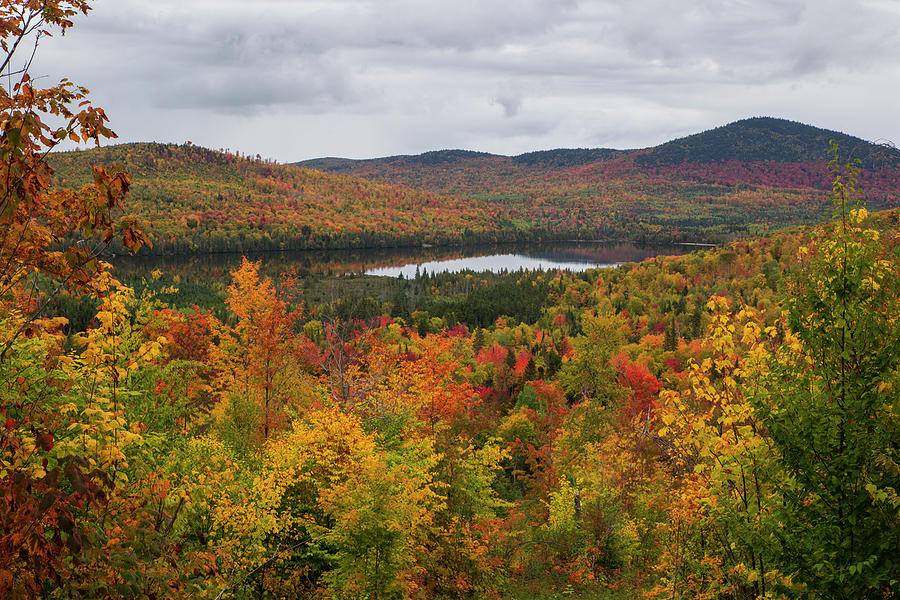 Millsfield Pond Autumn Photograph by White Mountain Images