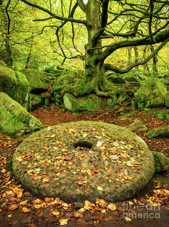 Millstone at Padley Gorge, Peak District National Park, Derbyshire, England Photograph by Neale And Judith Clark