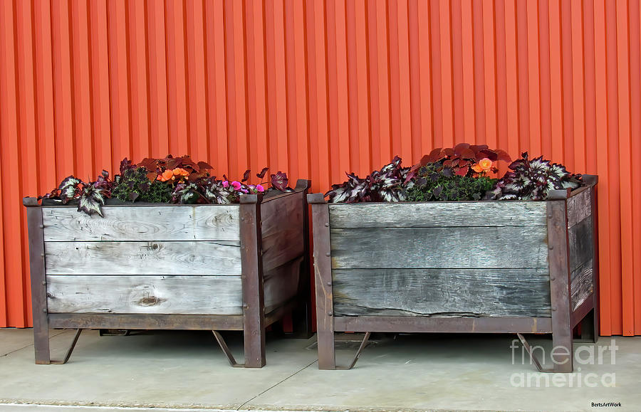 Milwaukee Modern and Rustic with Flowers Photograph by Roberta Byram