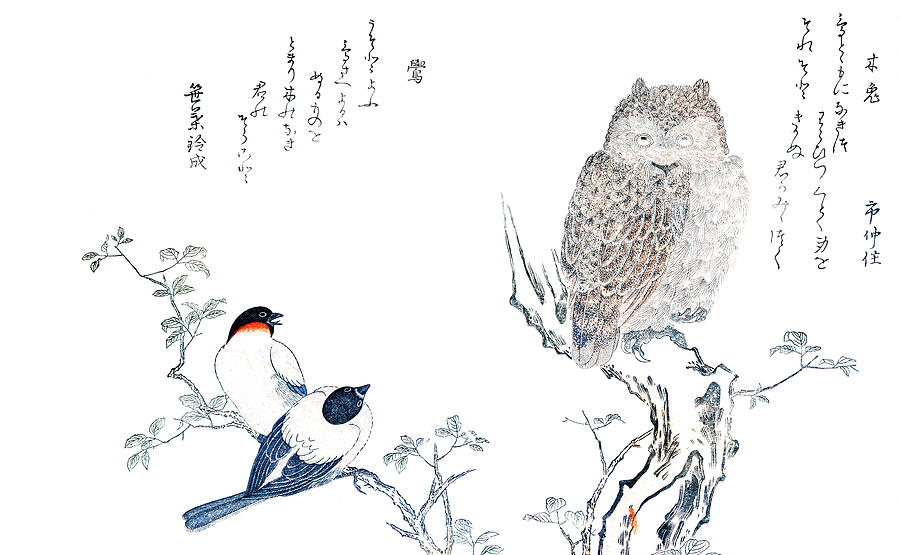 Nature Drawing - Mimizuku Uso by Utamaro Kitagawa