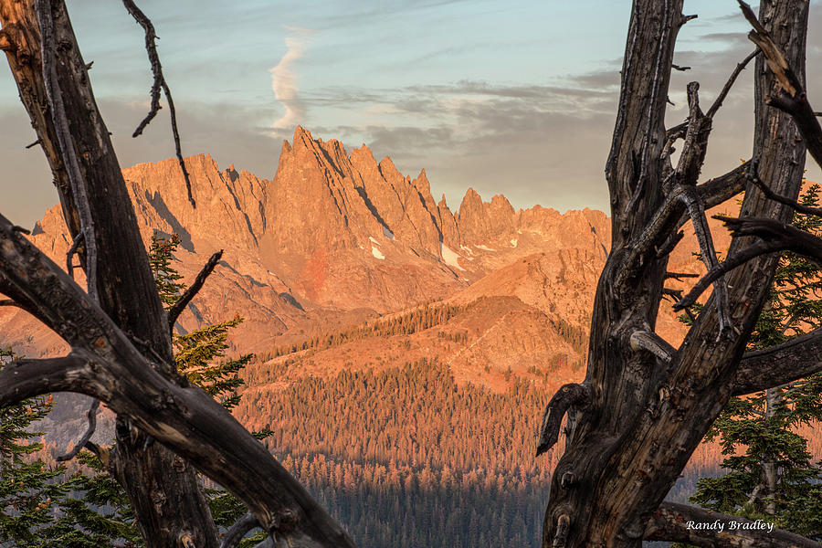 Minaret Mountains Through Branches Photograph by Randy Bradley